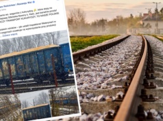 20 wagonów kukurydzy budzi emocje. Rolnik ostrzegał, MRiRW odpowiedziało