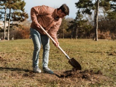 Kopał basen i znalazł skarb. Od jego wartości może się zakręcić w głowie