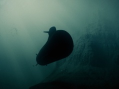 Okręt podwodny ze Szwecji. Wicepremier: jedyny, który spełnił wszystkie wymogi