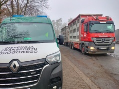 WITD: Wspólne działania z Powiatowym Inspektoratem Weterynarii