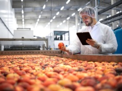 Branża spożywcza rośnie, ale rąk do pracy brakuje. Sama technologia nie wystarczy