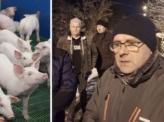 „Czujemy się jak niewolnicy”. Rolnicy zapowiadają wyjazd pod Animex