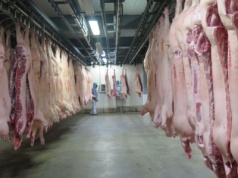 Brazylia: trwa boom eksportowy wieprzowiny. Dane