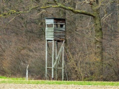 Obowiązkowe badania dla posiadaczy broni coraz bliżej?