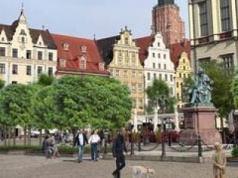 W 2026 roku wrocławski Rynek przejdzie „zieloną metamorfozę”. Będzie wprowadzana w trzech etapach