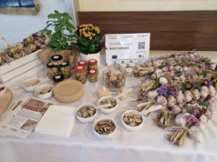 Przyszłość świętokrzyskiego rolnictwa to innowacje