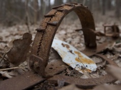 Leśnicy pokazali zdjęcia i ostrzegają. "Warto wiedzieć, jak mogą wyglądać"