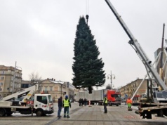 Na placu Biegańskiego stanęła już choinka! Czujecie zbliżającą się magię świąt?