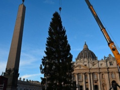 Na Placu św. Piotra rozpoczęto ustawianie choinki