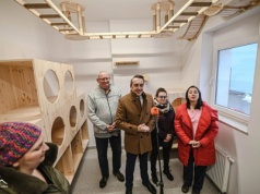 Nowa kociarnia w Zielonej Górze. Koty w schronisku już nie w króliczych klatkach