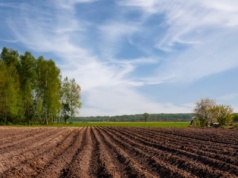 Strategia Rozwoju Polski 2035 już jest. Czy znalazło się miejsce dla rolnictwa?