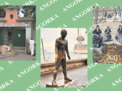 Kazik w podróży. Dzień w Funchal