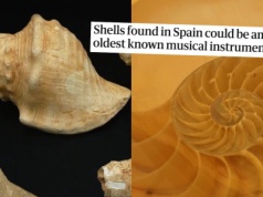 Badania muszli-instrumentów sprzed wieków dowodzą, że ludzie już tysiące lat temu lubili poszumieć