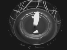 Nie żyje wybitna reżyserka. Stworzyła kultowe animacje PRL-u