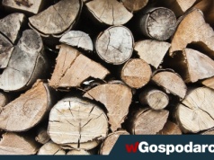 5 000 zł. Tyle dostaniesz kary za palenie w piecu