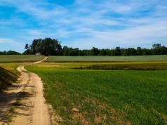 Miastowi wyprowadzili się na wieś i mącą. Nie chcą masztu