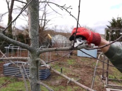 Tak wygląda grudzień w ogrodzie. Pamiętaj o 1 ważnym zabiegu
