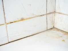 Wysmaruj brodzik, zostaw na noc i gotowe. Na drugi dzień prysznic będzie lśnił czystością