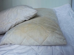 Na poduszce robią się żółte plamy? Immunolog tłumaczy, co dzieje się w jej wnętrzu