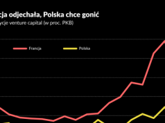 Państwo jako koordynator. Tego trzeba Polsce