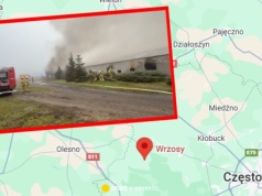 Pożar kurnika na Śląsku. Spłonęły tysiące kurcząt