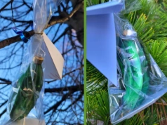 Szukajcie bombek - legnickich ogórków w centrum miasta!