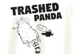 Szop, który grasował w sklepie monopolowym, podejrzany o dwa inne włamania