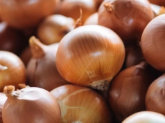 Cebula z Holandii przejmuje polski rynek. A ile przywozimy z Rosji? Dane zaskakują