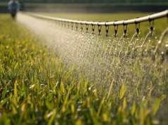 Europejskie rolniczki nagrodzone za innowacje wodne. Znamy laureatki prestiżowej nagrody Copa Cogeca