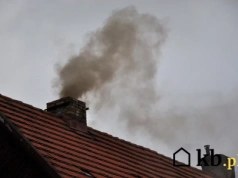 Ile pelletu trzeba, by zastąpić tonę węgla? To porównanie mocno namiesza Ci w rachunkach