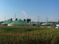 Do dzierżawy z KOWR ponad 138 hektarów. Plus chlewnie i biogazownia