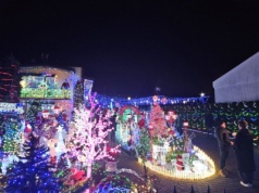 Sieradzkie Las Vegas już świeci! 200 tysięcy lampek zachwyca mieszkańców i turystów