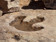 Odkryli największe stanowisko dinozaurów na świecie. Chodzi o dziesiątki tysięcy śladów!