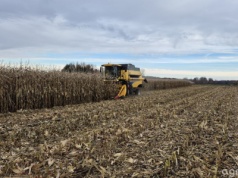 Ceny kukurydzy mokrej. Jakie stawki płacą skupy w regionach?