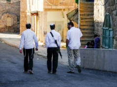 Żydowscy bojówkarze podpalili kolejny, palestyński gaj oliwny