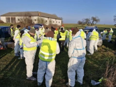 Niepokojące znaleziska w zagłębiu trzody chlewnej. Wojsko i służby w akcji
