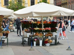 Kwiaciarki na płycie Rynku Głównego czeka duża zmiana. Od 2026 roku nowe zasady sprzedaży