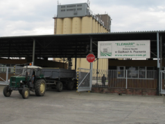 Ceny kukurydzy i zbóż paszowych w górę. Sprawdzamy, gdzie skupy płacą najwięcej