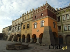 AI wskazało najbardziej niedocenione miasto w Polsce. Wybór zaskakuje