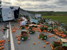 Tony owoców na drodze po kraksie ciężarówki z cytrusami. Kierowca w szpitalu