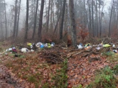 Śmieci w lesie na terenie Chojnic. Straż Leśna szybko ustaliła sprawcę