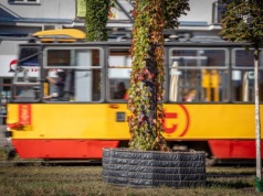 Tramwaje Warszawskie zazielenią kolejne słupy trakcyjne