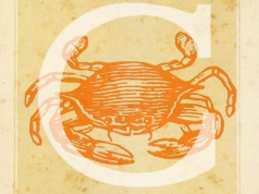 Horoskop tygodniowy dla Raka na 15.12 – 21.12.2025