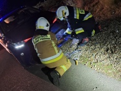 Strażacy uwalniali lisa ze… zderzaka