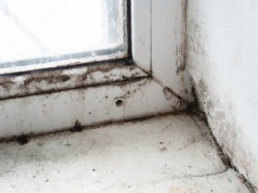 Większość z nas robi to źle. Efekt? Wilgoć i grzyb na ścianach