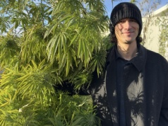 Pierwsze konopne jeansy szyte w Polsce - nowość od Kombinatu Konopnego