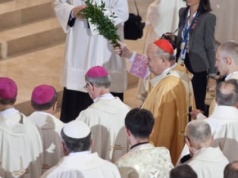 Obraz polskiego Kościoła: opustoszałe seminaria i niedzielne ławy