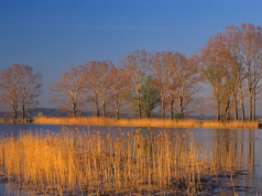 Afera o "renaturyzację" polskiej rzeki. Zareagował resort klimatu