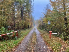 W końcu legalne trasy po drogach leśnych? Motocykliści z TET i RATs ruszają z inicjatywą wobec Lasów Państwowych. Wypełnij ankietę!