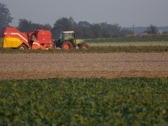 Polska chce utworzenia Europejskiego Funduszu Wyrównawczego dla Rolnictwa